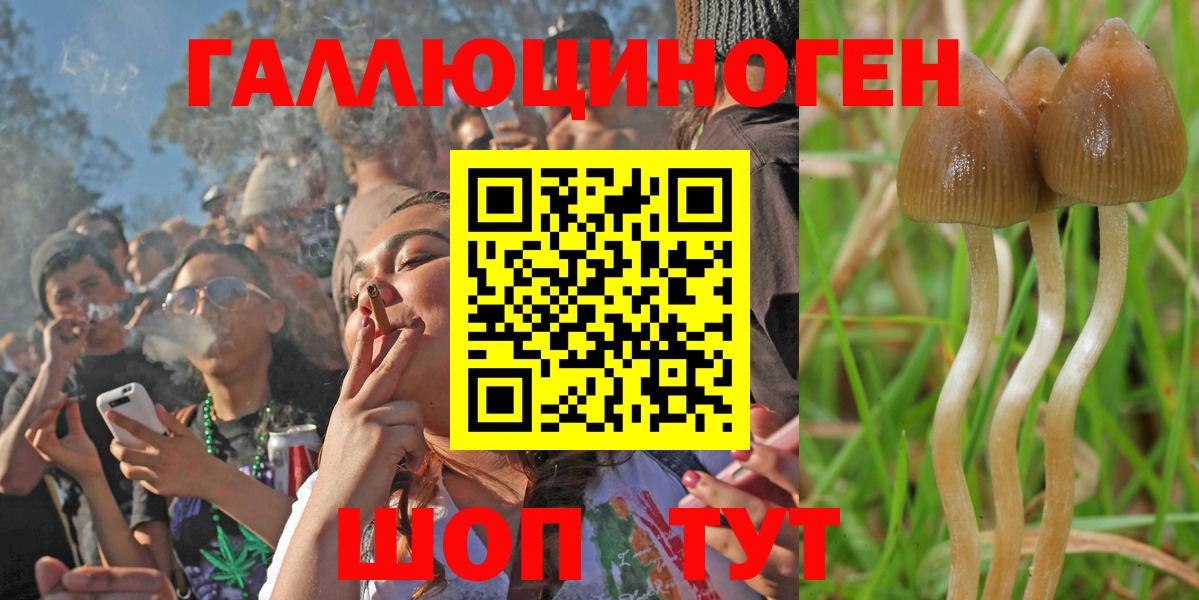 Можайск  Галлюциногенные грибы мухоморы  закладки  Вход с VPN 